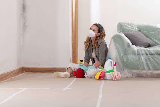 Reliable Mold Inspection contractor in Lake Dallas, TX by WQB Mold Removal